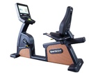 C576R-16″ RECUMBENT CYCLE