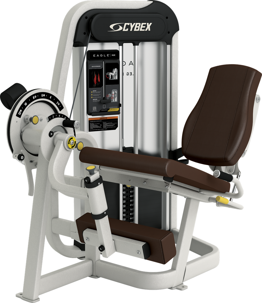 LEG EXTENSION