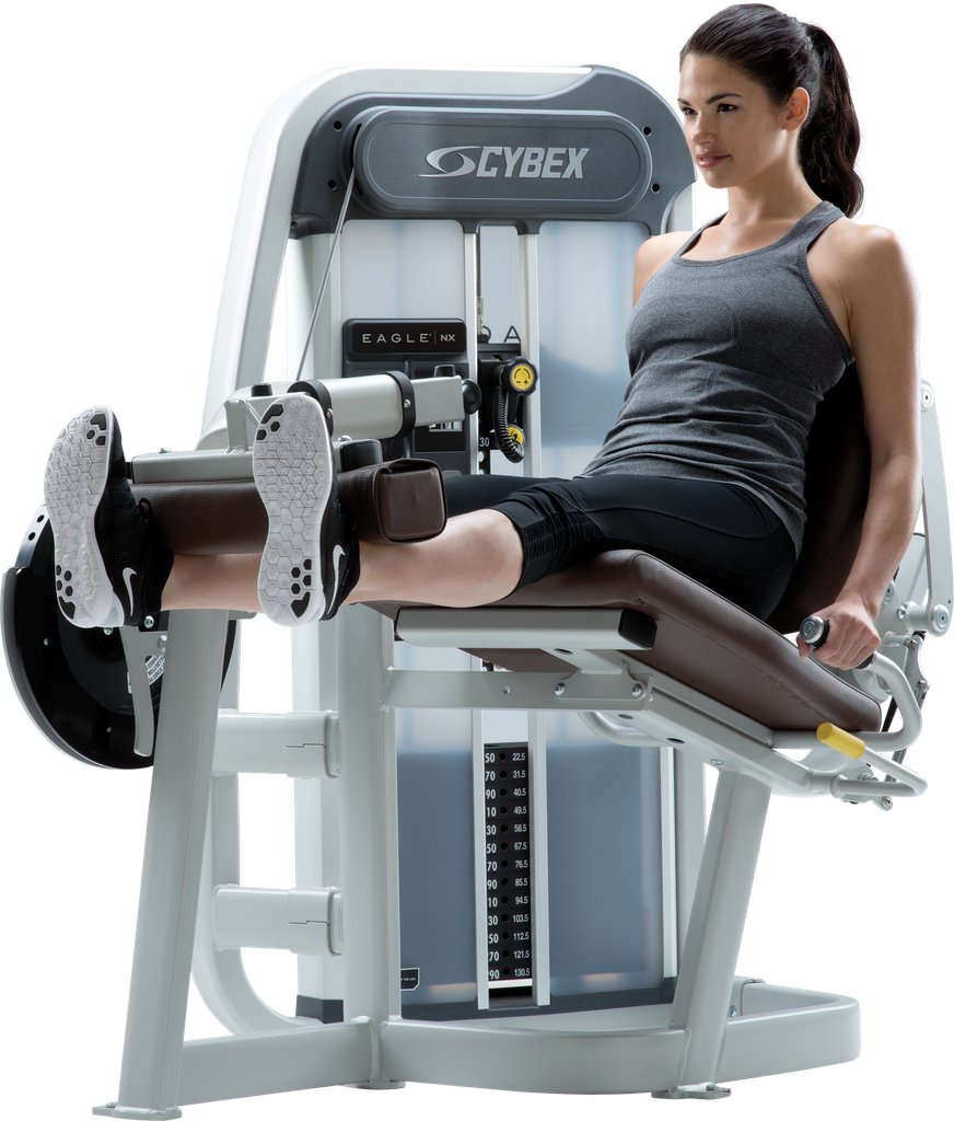 LEG EXTENSION