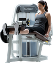 LEG EXTENSION