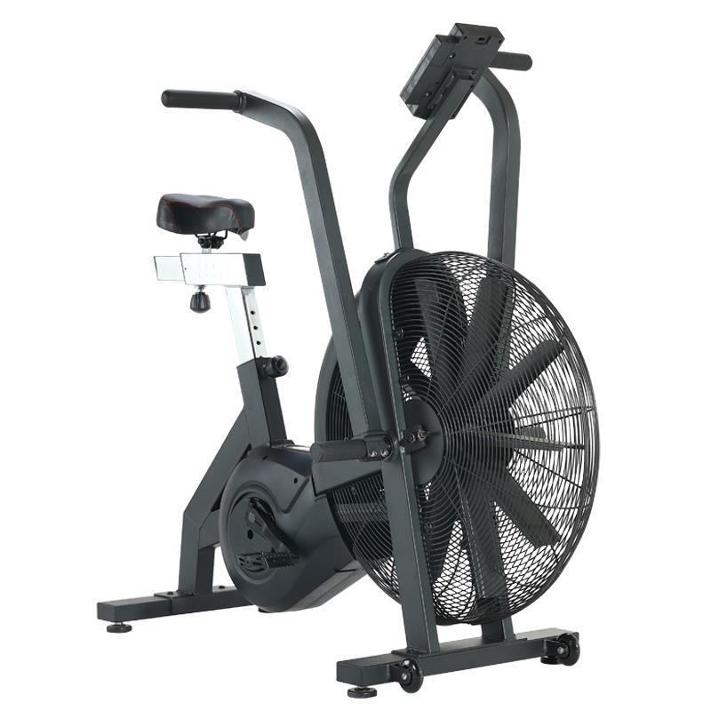ROGUE ECHO BIKE
