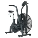 ROGUE ECHO BIKE