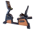 C576R RECUMBENT CYCLE