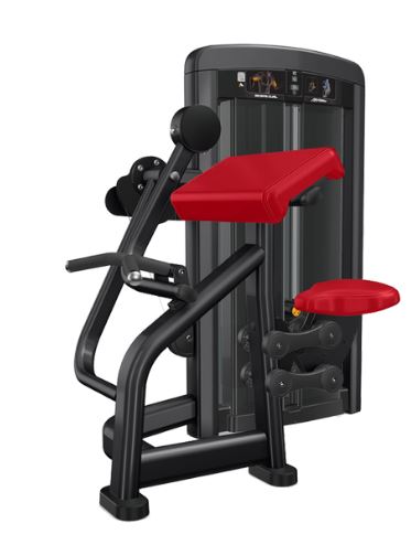 INSIGNIA SERIES TRICEPS EXTENSION
