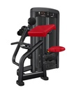 INSIGNIA SERIES TRICEPS EXTENSION