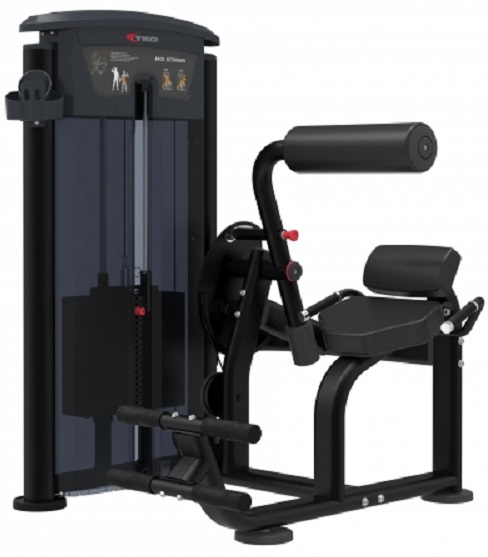SIGNATURE SERIES Back Extension