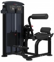 SIGNATURE SERIES Back Extension