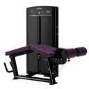 AXIOM SERIES LEG CURL