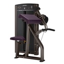 AXIOM SERIES BICEPS CURL