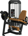 PRESTIGE LEG EXTENSION