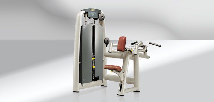 Selection Upper Back