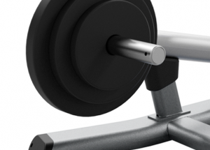 Plate Loaded - Biceps Curl