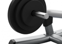 Plate Loaded - Biceps Curl