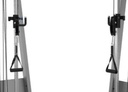 Icarian- Functional Training System FTS