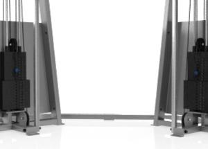Icarian- Functional Training System FTS