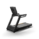 Endurance Treadmill