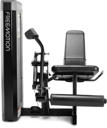 LEG EXTENSION