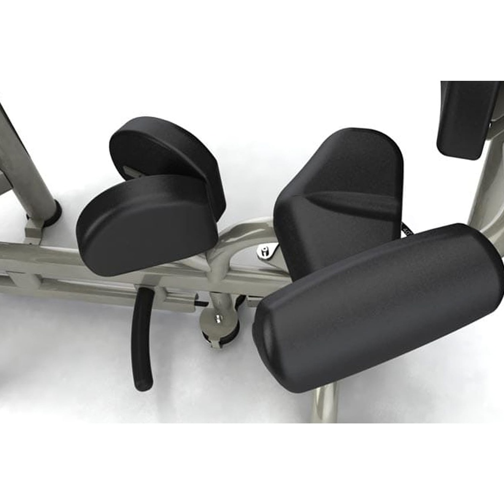 Aura Rotary Torso