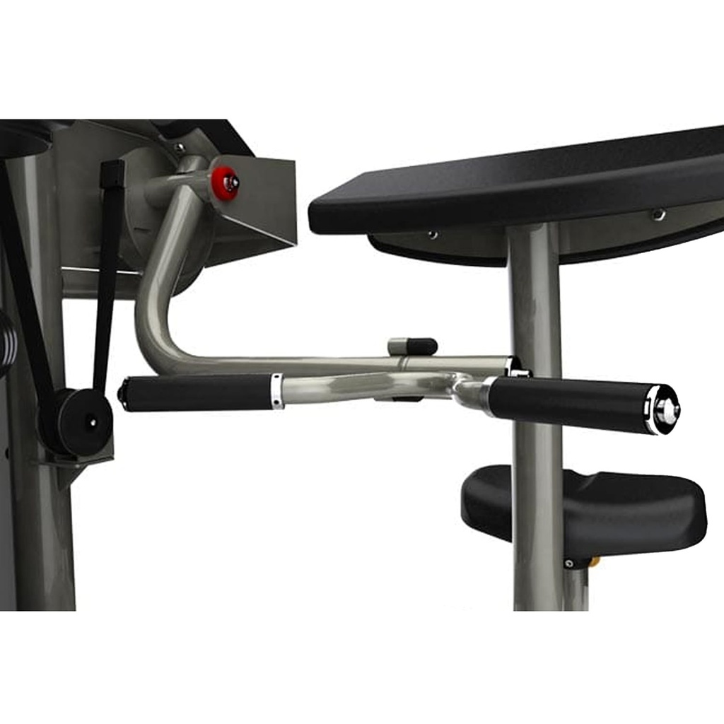 Aura Arm Curl