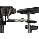 Aura Arm Curl