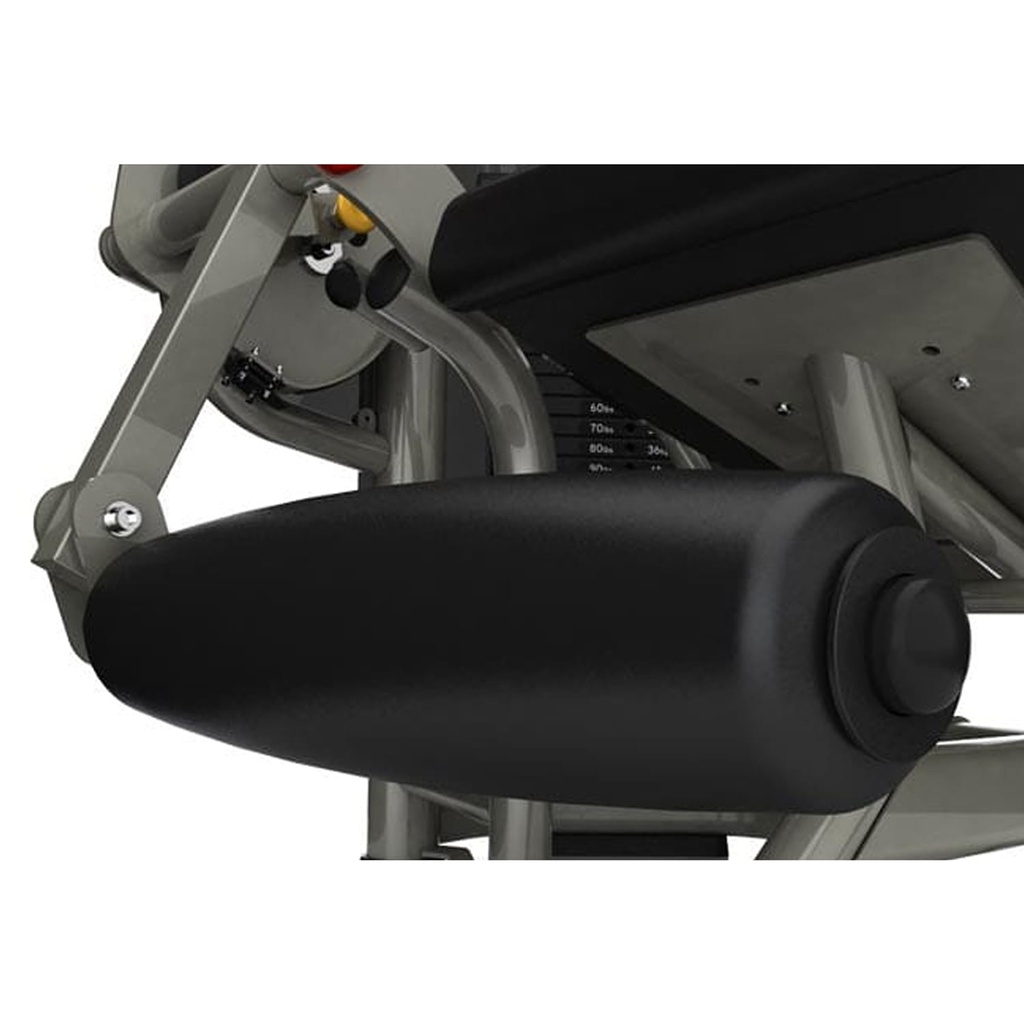 Aura Leg Extension