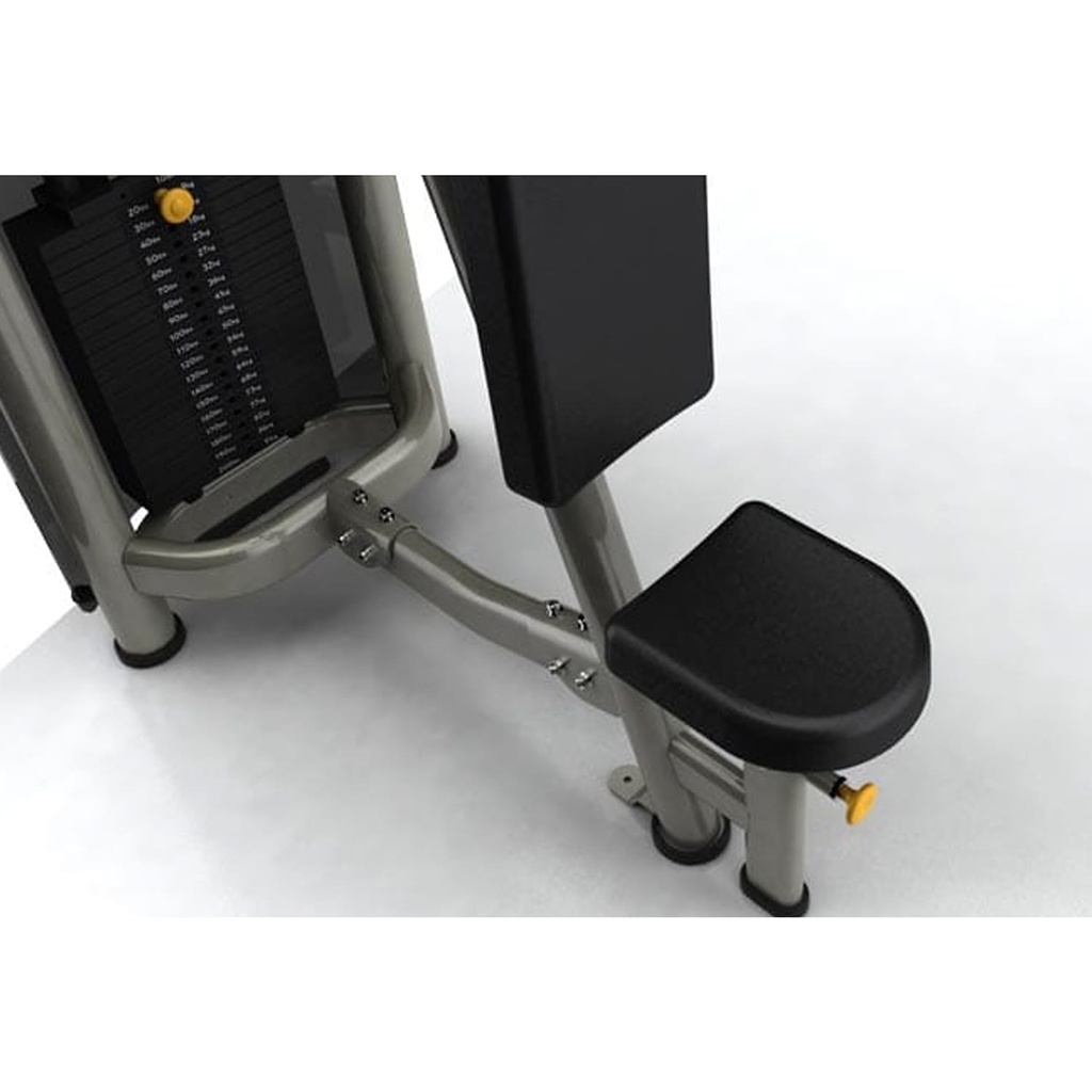 Aura Rear Delt / Fly