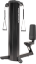 TRICEPS