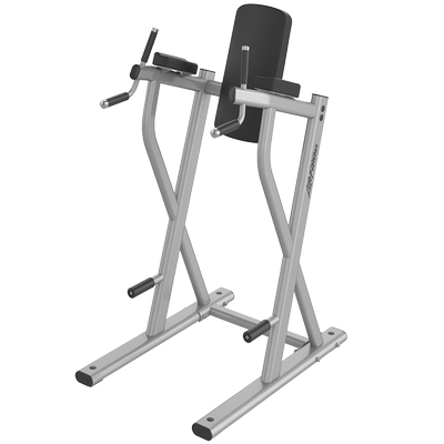 LIFE FITNESS AXIOM SERIES DIP/LEG RAISE