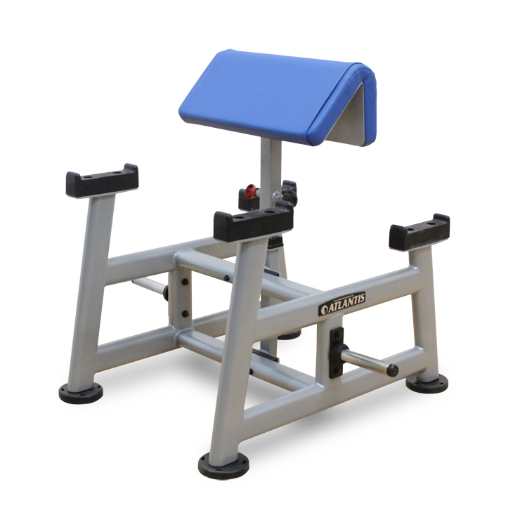 PRECISION SERIES - Standing Preacher Curl