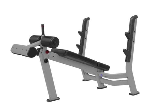 NAUTILUS DECLINE BENCH PRESS