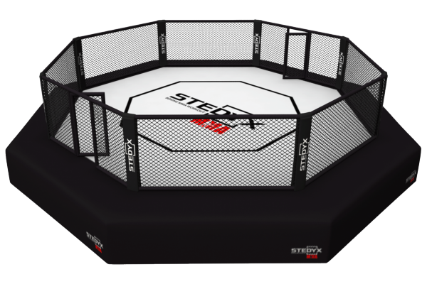 STEDYX OCTAGON UFC RULES