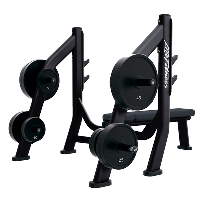 LIFE FITNESS SIGNATURE SERIES OLYMPIC BENCH WEIGHT STORAGE