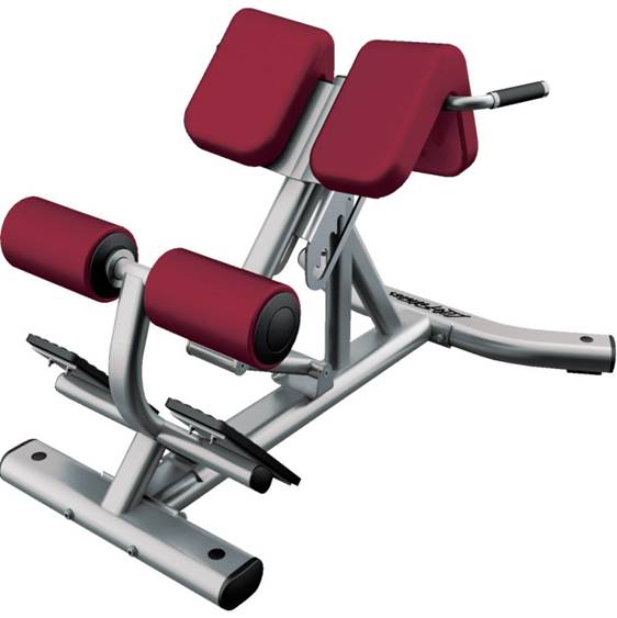 LIFE FITNESS SIGNATURE SERIES Back Extension