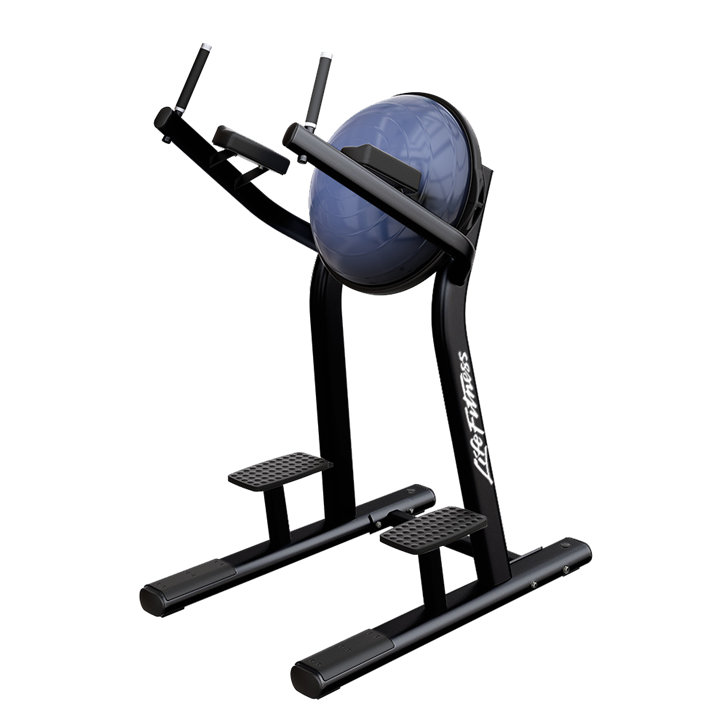 LIFE FITNESS SIGNATURE SERIES Leg Raise