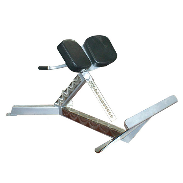 FREE MOTION OLD EPIC - 45 Degree Back Extension (SZ28)