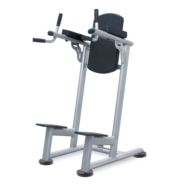 PRECISION SERIES - Standing Leg Raise