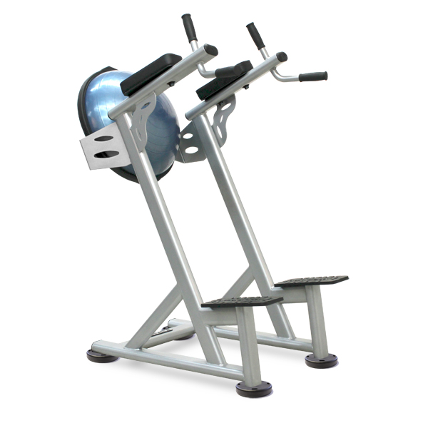 PRECISION SERIES - Standing Leg Raise (With Bosu)