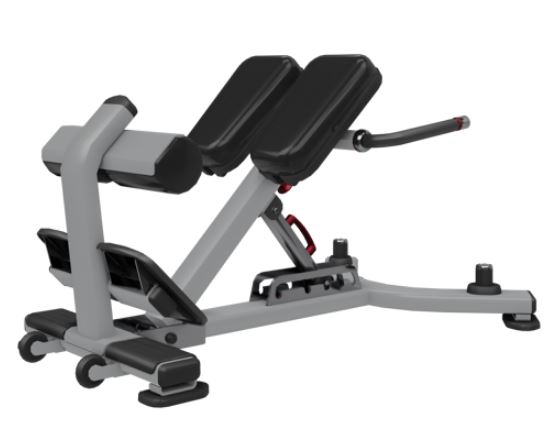 NAUTILUS ADJUSTABLE BACK EXTENSION