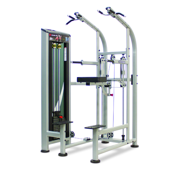 ATLANTIS PRECISION SERIES - Abdominal Rotation