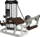 CYBEX PRESTIGE PRONE LEG CURL