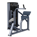 LIFE FITNESS AXIOM SERIES ABDOMINAL / BACK EXTENSION