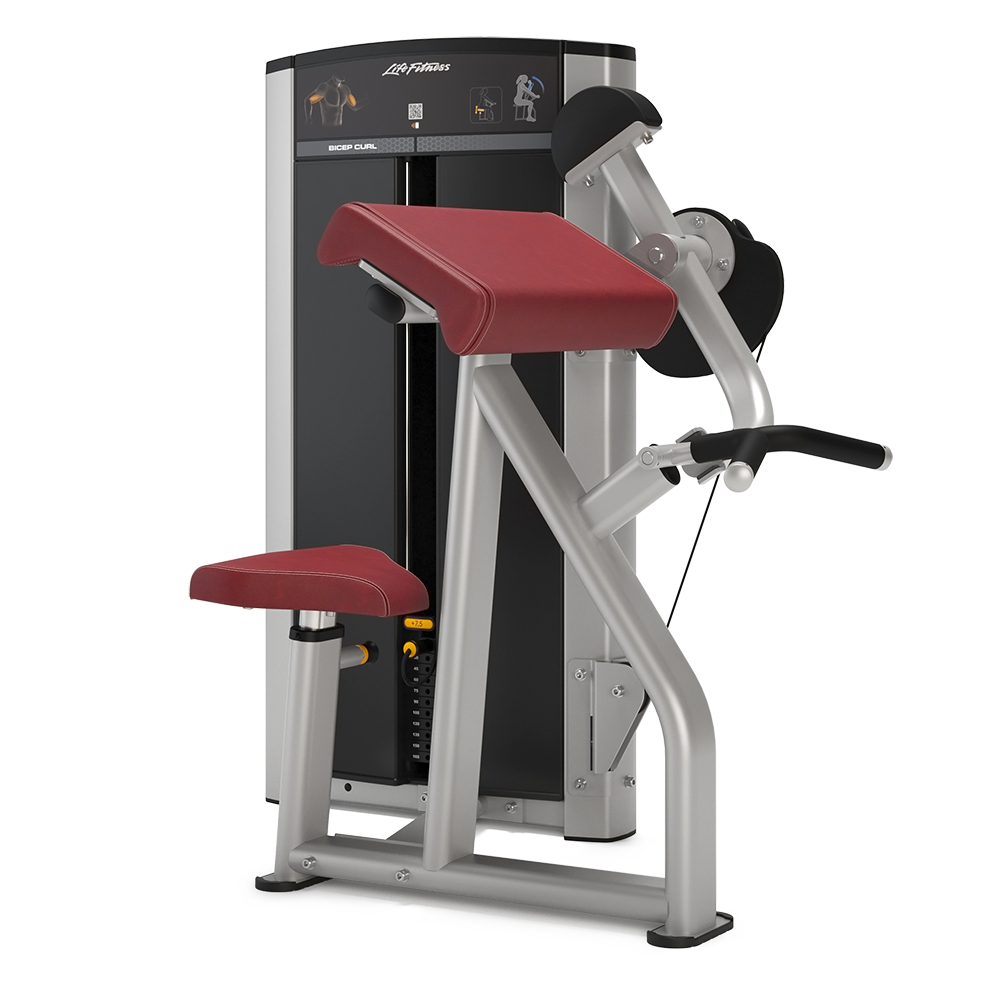 LIFE FITNESS AXIOM SERIES BICEPS / TRICEPS