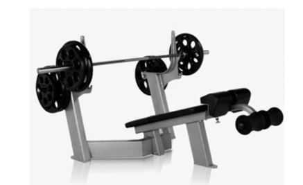 FREE MOTION OLD EPIC - Olympic Decline Bench (SZ26)