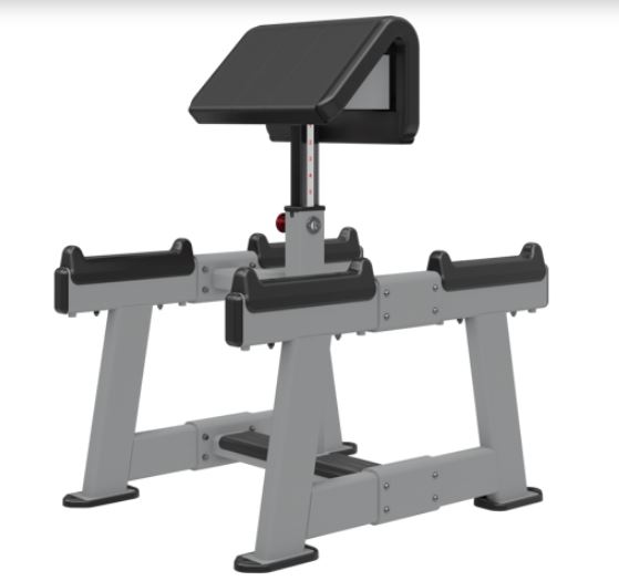NAUTILUS STANDING PREACHER CURL