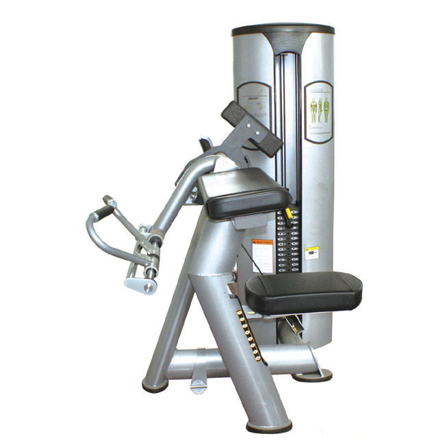 FREE MOTION OLD EPIC -Biceps Curl (SZ02)