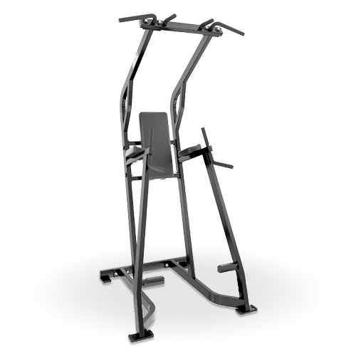HAMMER STRENGHT CHIN/DIP/LEG RAISE
