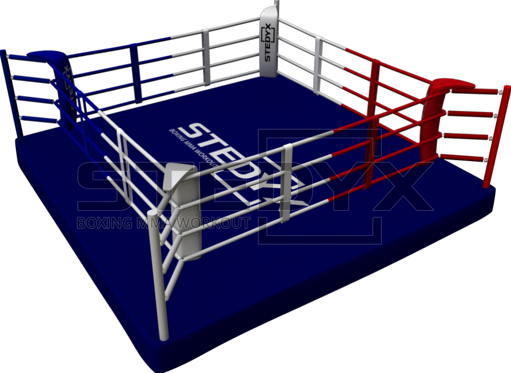 STEDYX TRAINING RING PRO