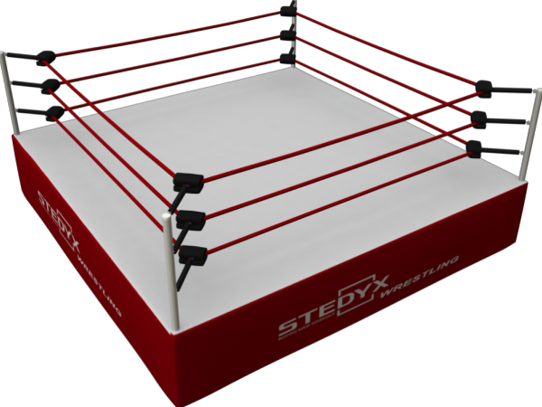 STEDYX WRESTLING RING