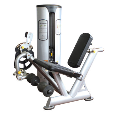 FREE MOTION OLD EPIC - Leg Extension (SZ06)