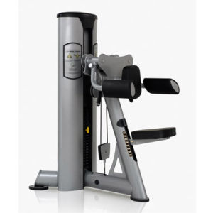 FREE MOTION OLD EPIC - Lateral Raise (SZ19)